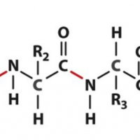 molecule