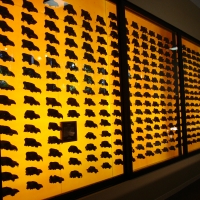 la brea tar pits display case