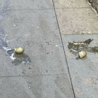 eggs sidewalk