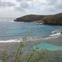 snorkeling hawaii-- forget place developed sunken volcano
