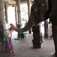 elephant blessing hampi india