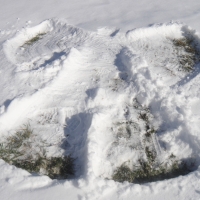 time made snow angel back college
